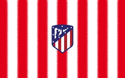 安博电竞焦点-F斯特罗尔父子车队被收购