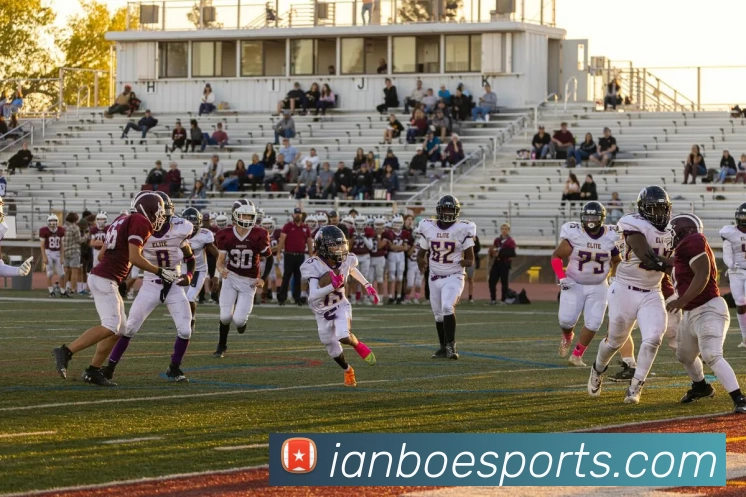 多媒体互动体验